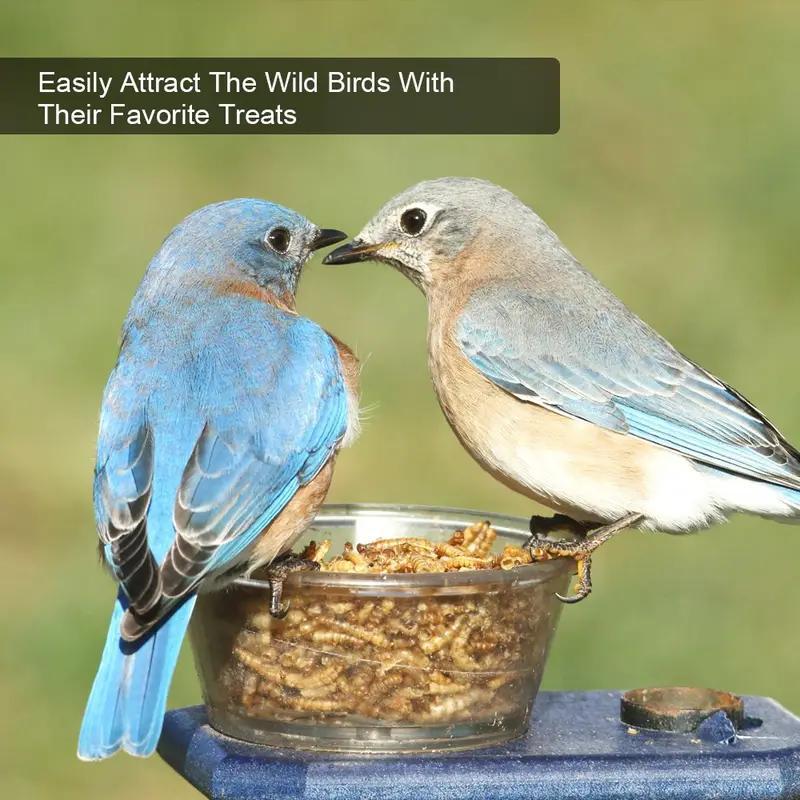 Bulk Dried Mealworms 22 or 40 lb, Protein-Rich Insect Treats for Chickens, Ducks and Wild Birds, Supplemental Snacks for Backyard Feeding Routines