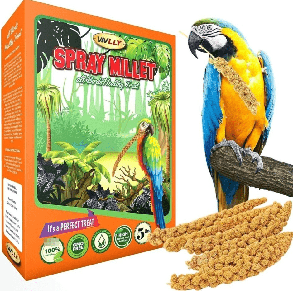 Millet Spray for Birds, Golden Seed Treats for Parakeets, Budgies, Cockatiels, Finches and Canaries, 5 lb Bulk or 2 Long Spray Options