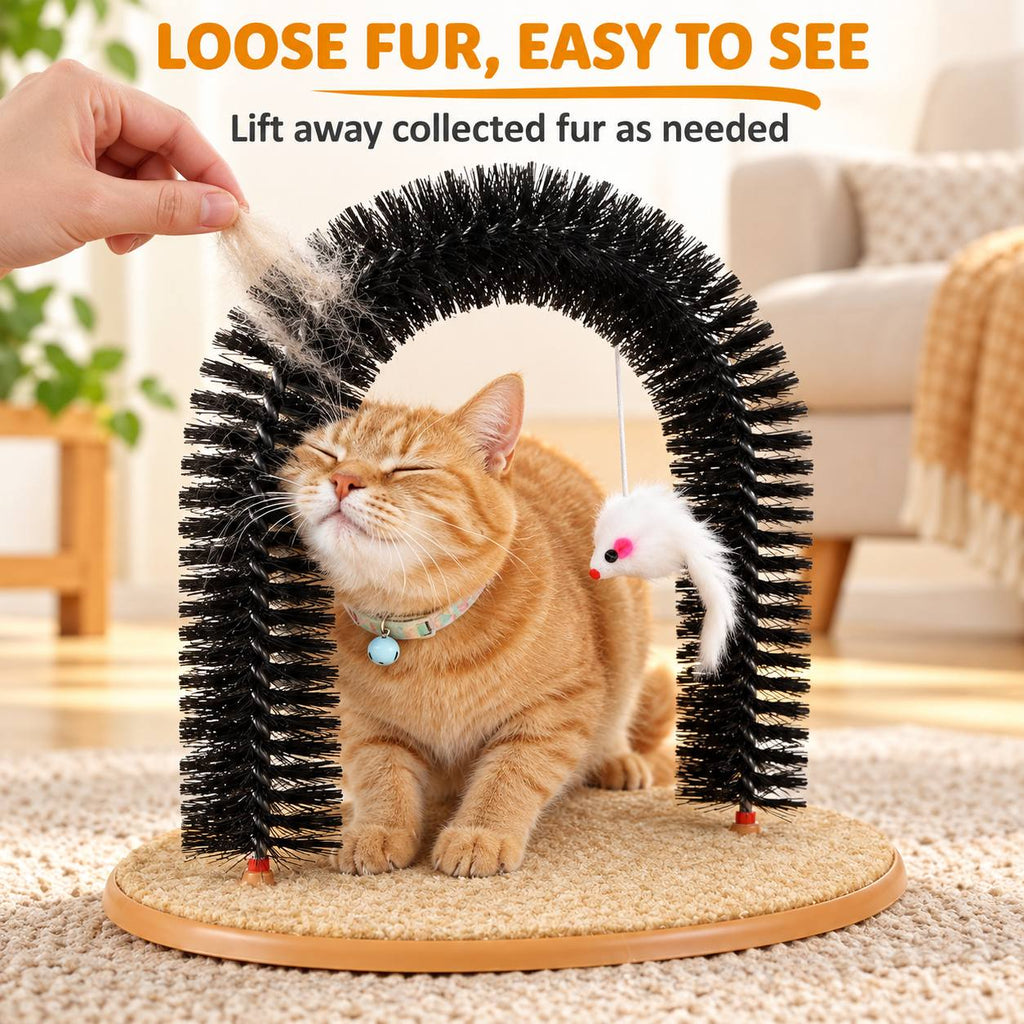 Cat Self Grooming Arch 3-in-1 Activity Station for Rubbing, Scratching and Play, Everyday Cat Enrichment Spot for Home Grooming Routines