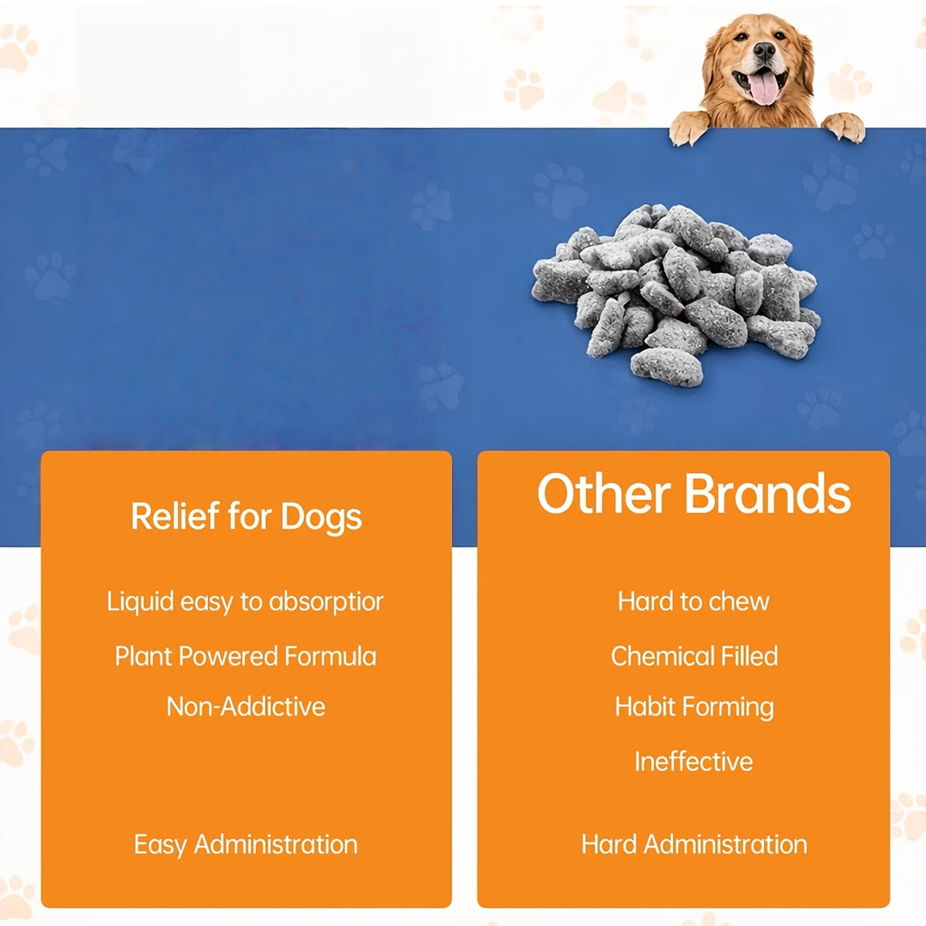 Dog Skin and Ear Support Drops 60 mL, Liquid Dietary Supplement in Dropper Bottle for Canine Wellness, Single or Two-Bottle Options