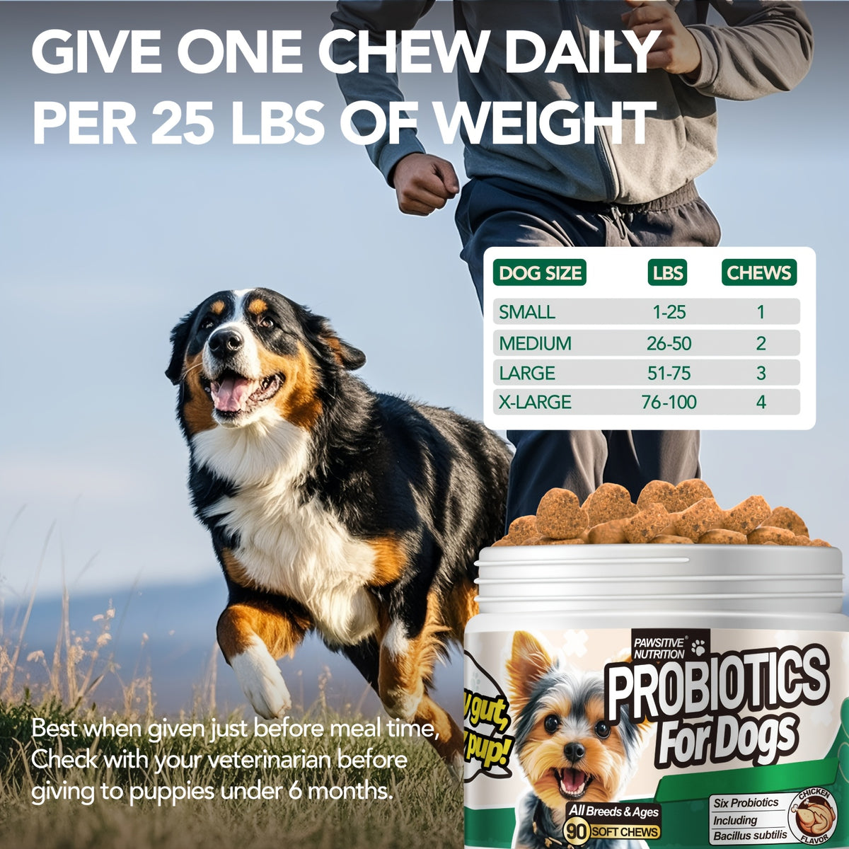 Dog Supplement Chews in Chicken Flavor, Skin Calm Care and Probiotic Formula Listing for Canine Skin and Gut Wellness Routines, 1pc Option
