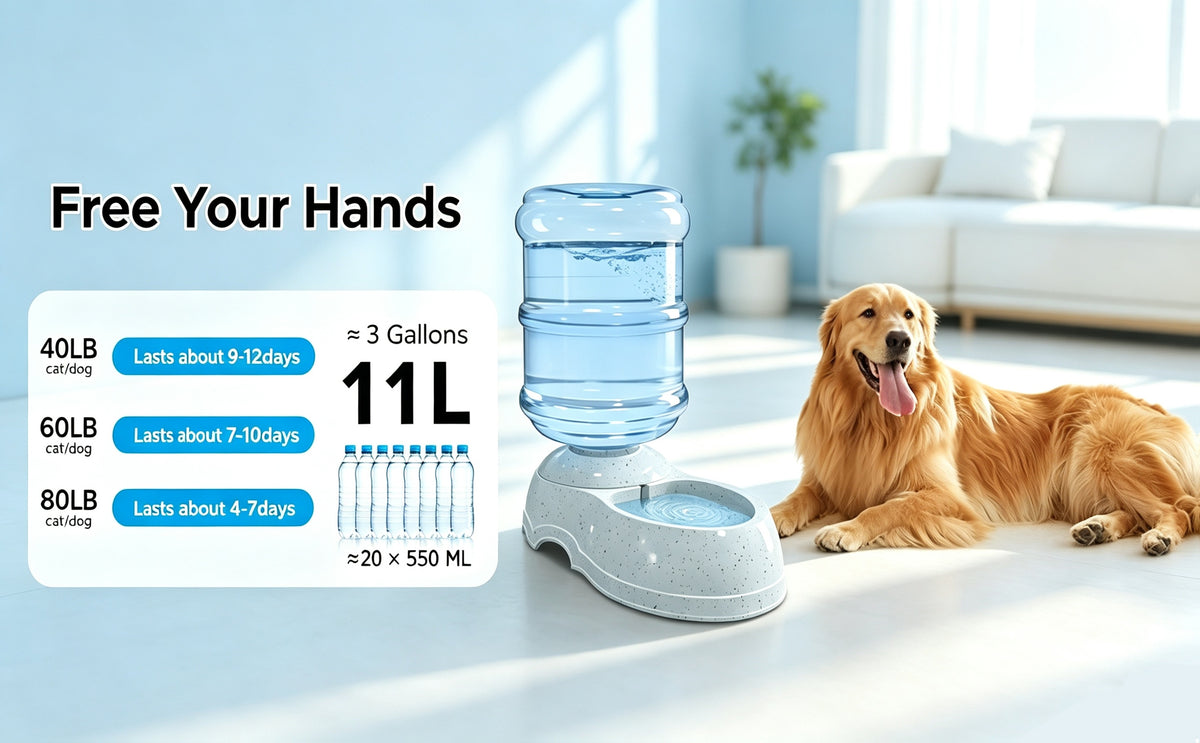 Gravity-Fed Dog Water Dispenser 2.91 Gallon, Gray Large Capacity Pet Waterer for Dogs and Cats, Automatic Refill Drinking Station for Home