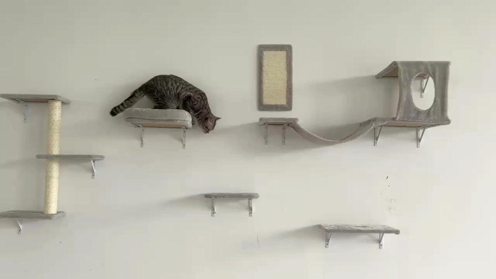 Cat Wall Climbing Shelves with Condo, 6-Piece Wall-Mounted Furniture Set with Scratching Post, Bridge Ladder and Board for Small and Medium Indoor Cats