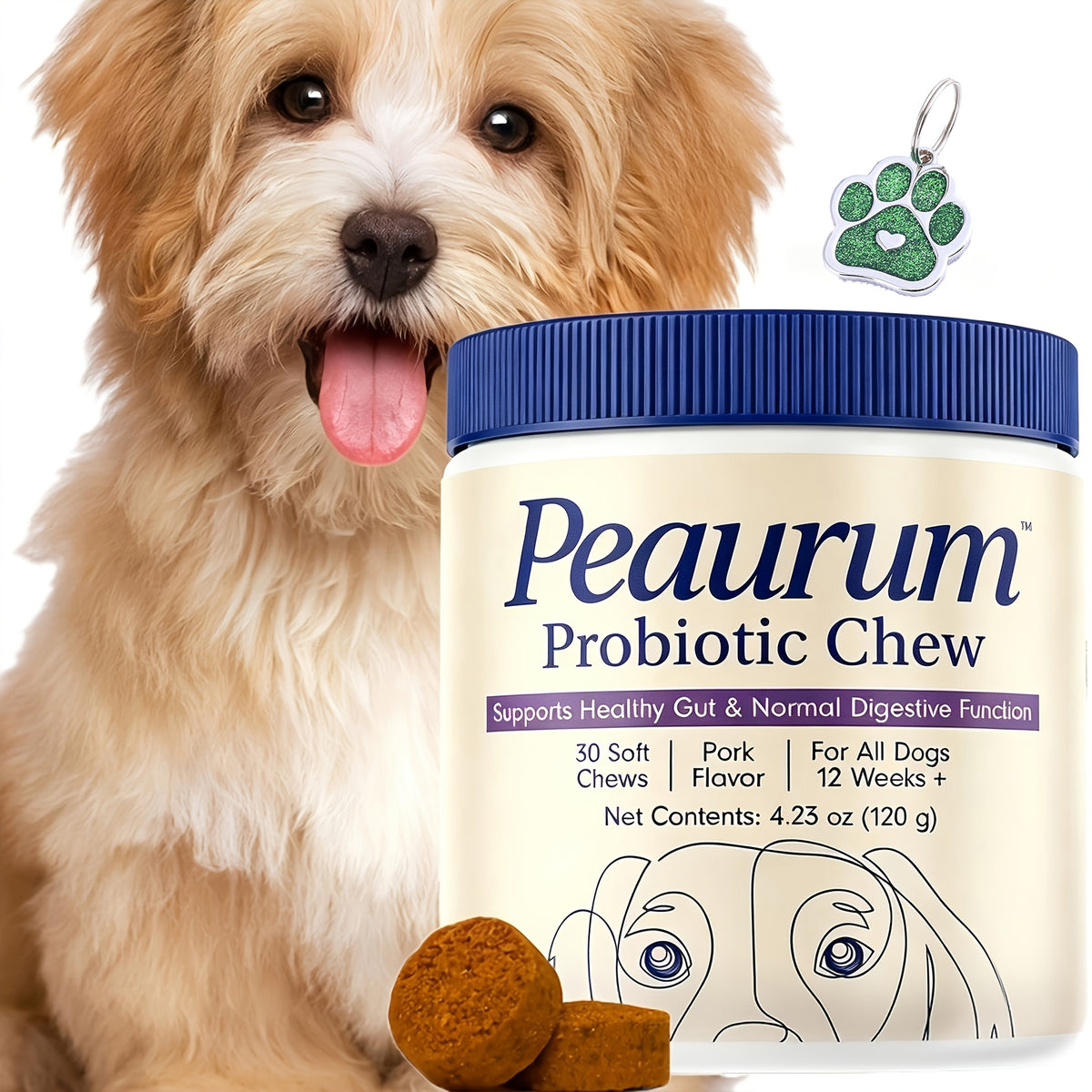 Dog Probiotic Supplement in 1 or 2 Pack Options, Listed 120g Capacity for Owner-Managed Canine Nutrition and Everyday Pet Wellness Routines