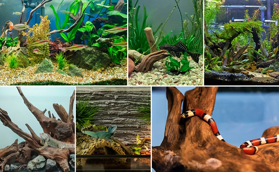 Natural Driftwood Aquarium Decoration 2-Pack, 9-14 Inch Wood Pieces for Fish Tank Aquascaping, Reptile Terrarium Decor and Custom Habitat Layouts