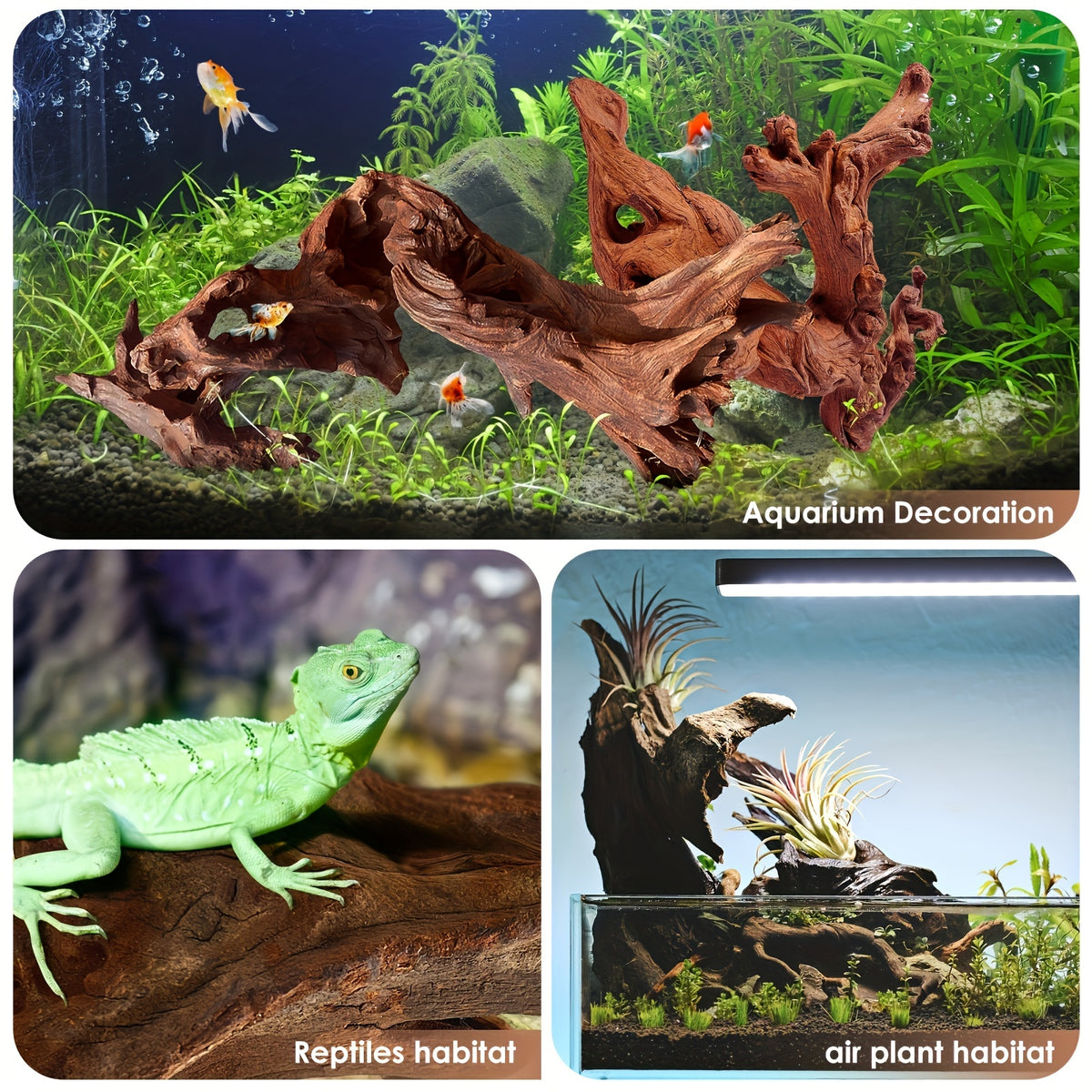 Large Aquarium Driftwood Single Piece, 13-16 Inch Natural Wood for Fish Tank Aquascaping, Shrimp Habitat and Reptile Enclosure Decoration