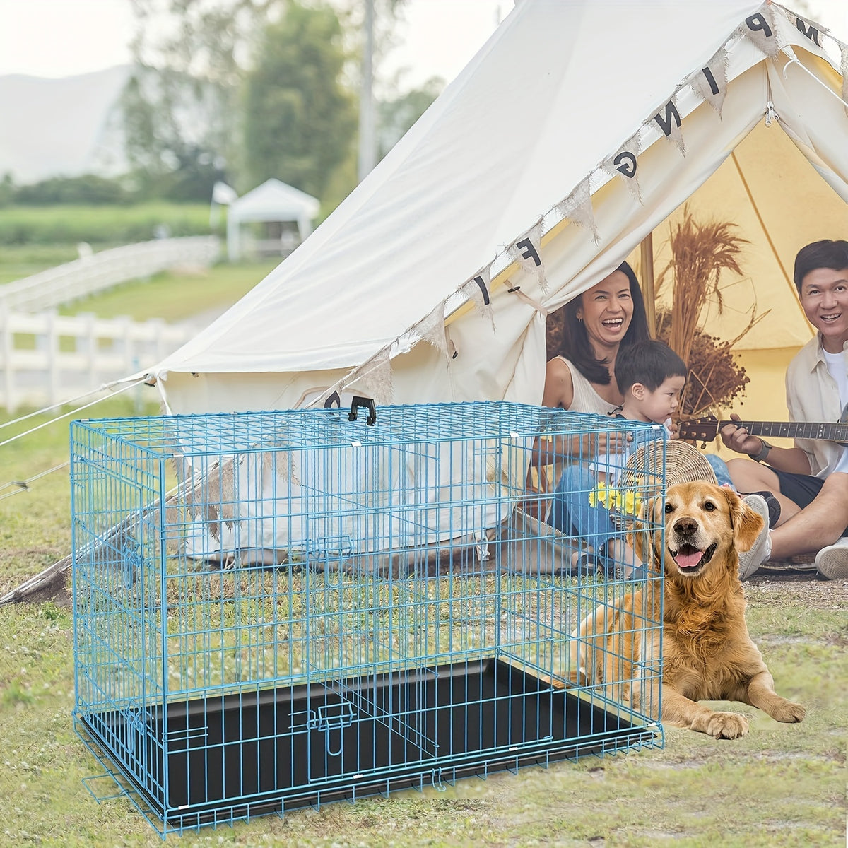 Dog Crate 42 or 48 Inch with Double Doors, Folding Metal Wire Kennel with Divider and Removable Leak-Proof Tray in Black, Blue or Pink for Home Training