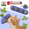 Silvervine Cat Toy Balls 5pcs, Rotating Herb Lick Toys for Supervised Indoor Play, Blue Green Pink and Refill Options for Cat Owners