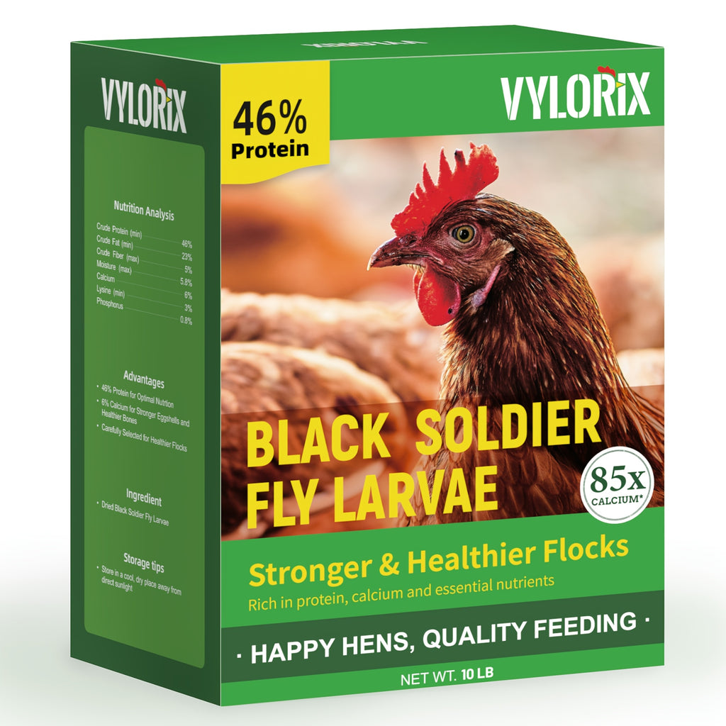 Dried BSFL Grubs for Chickens, Black Soldier Fly Larvae Treats with 46% Protein and 6% Calcium for Hens, Ducks and Birds, 2, 5 or 10 lb