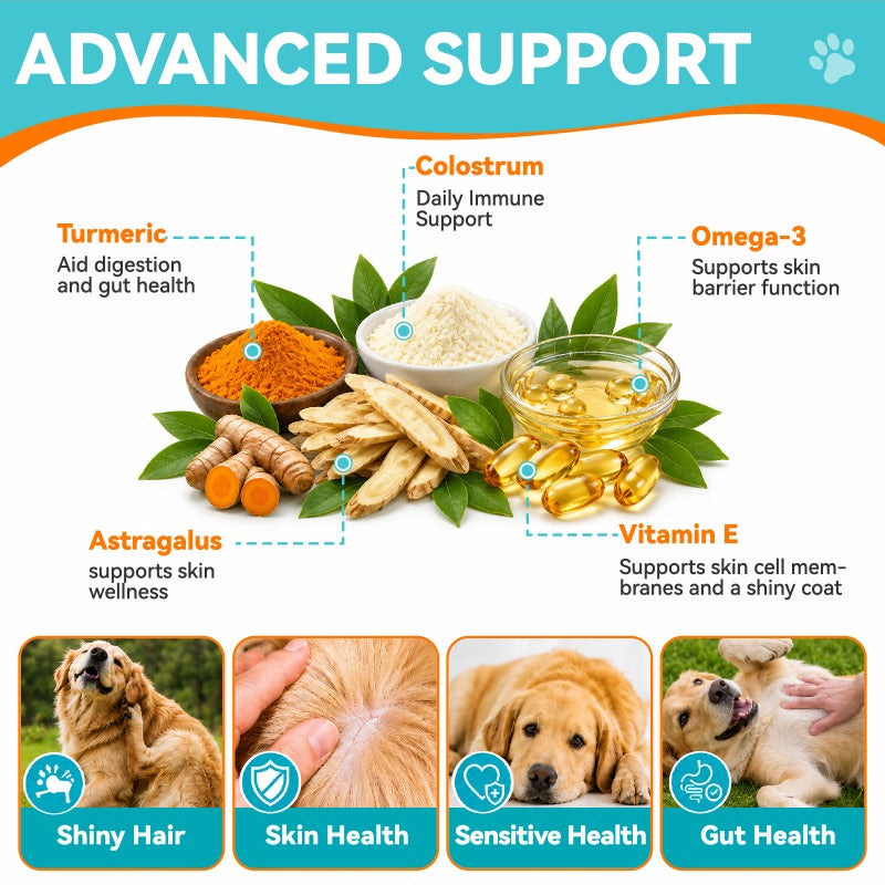 Dog Skin Supplement Chews with Omega 3, Chicken Flavor Skin and Coat Support with Turmeric, Astragalus and Colostrum, 1 Can for All Breeds
