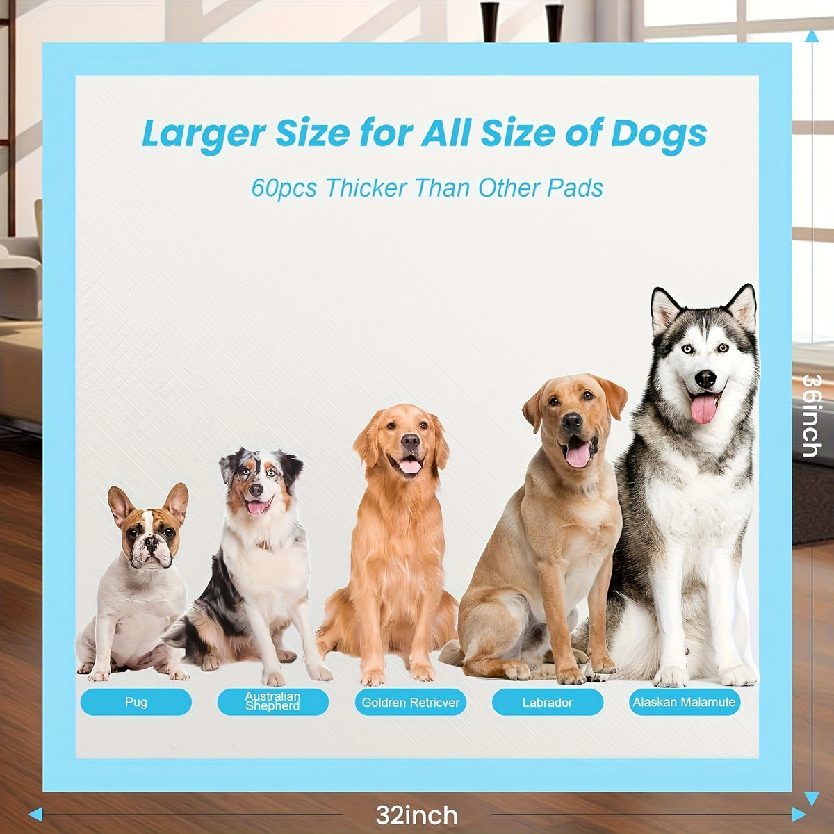 Extra Large Disposable Dog Pee Pads with Absorbent Polymer Core, Puppy Potty Training and Crate Liners in Multiple Sizes, 40 or 120 Count Options