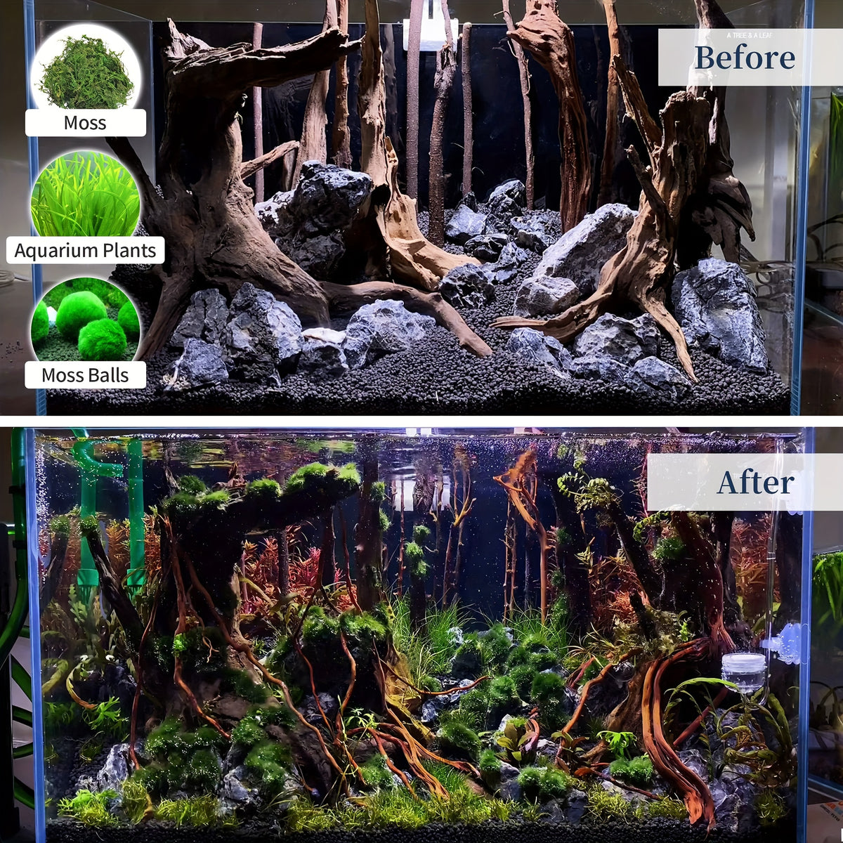 Aquarium Driftwood Decor 2-Pack, 12.5-18 Inch Large Natural Wood with Fewer Branches for Fish Tank Aquascaping and Reptile Enclosures