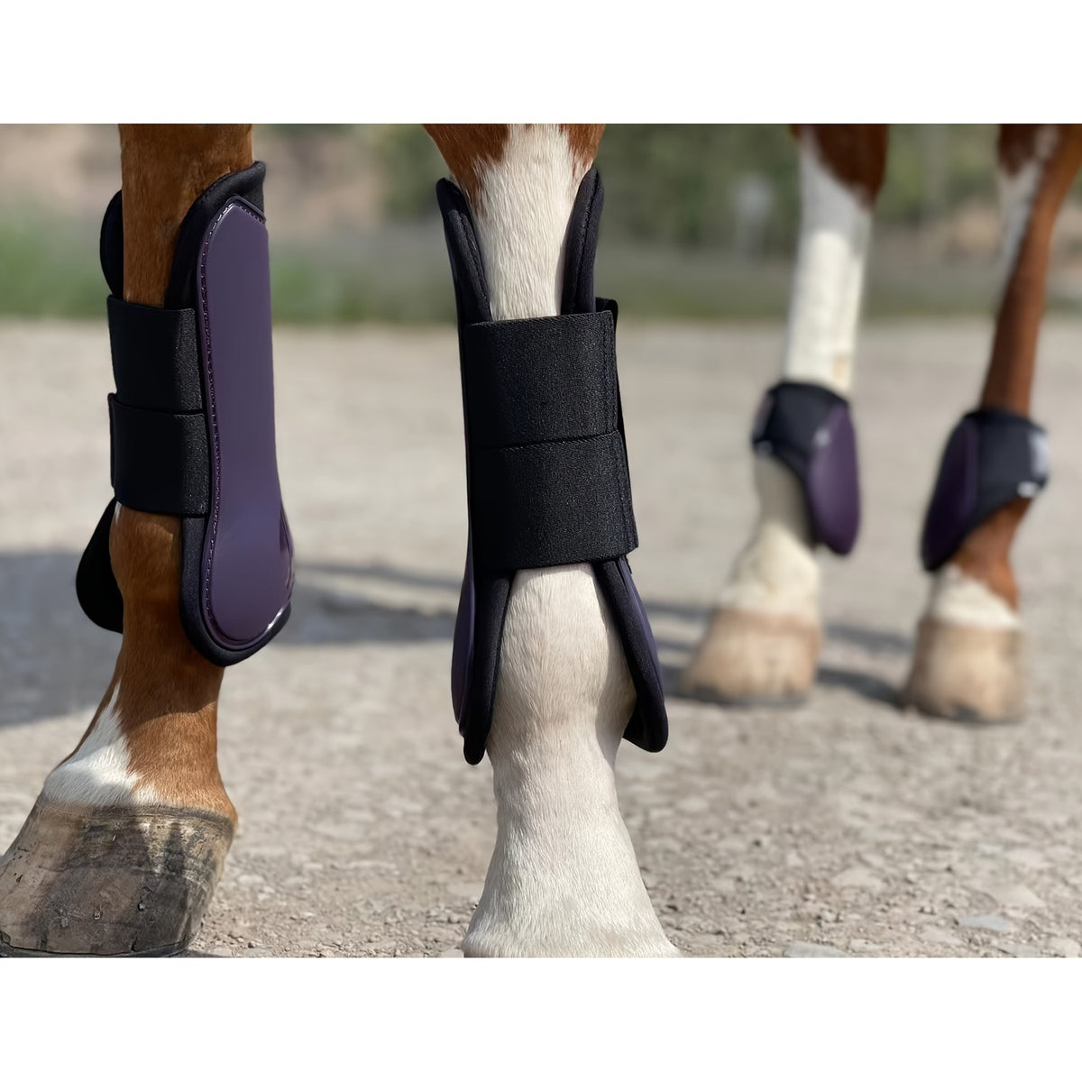 Horse Tendon Boots Set of 4, Open Front and Fetlock Leg Guards in PU and Neoprene for Riding, Jumping and Training, FULL and COB Size Options