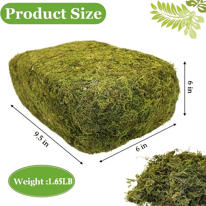 Sphagnum Moss for Terrariums and Plants, 1.65LB or 3.3LB Green Orchid Repotting Moss for Indoor Potted Plant and Reptile Habitat Projects