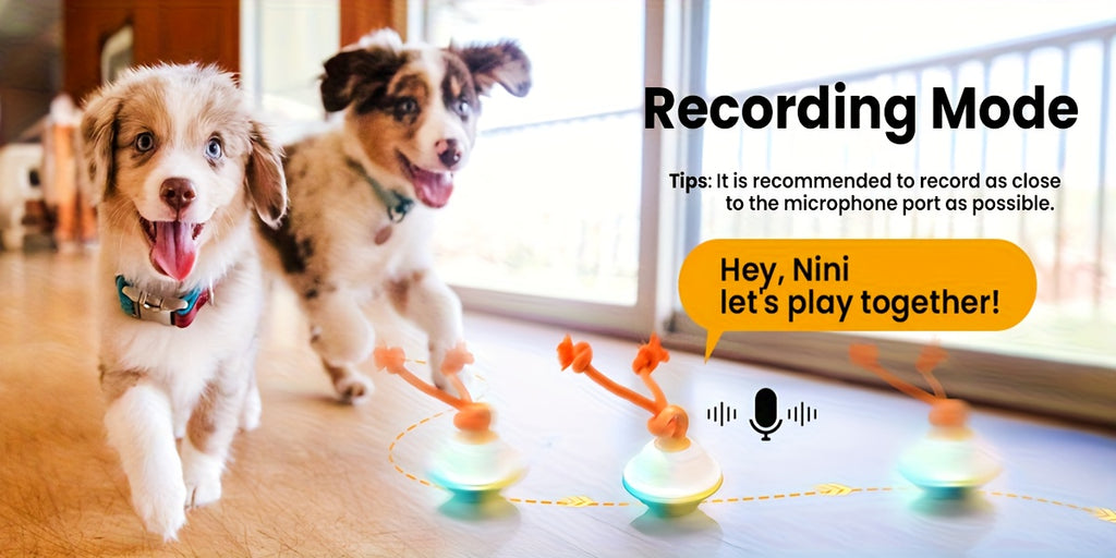 Automatic Rolling Dog Ball with Voice Recording and Rope, Interactive Moving Puppy Toy for Small and Medium Dogs, Supervised Chase Play