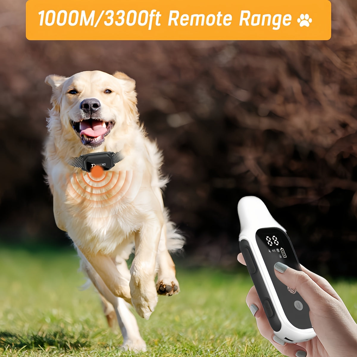 D80-1 Dog Training Collar with Digital Remote, Rechargeable Black Adjustable Nylon Collar with Listed Beep and Vibration Functions for Supervised Sessions