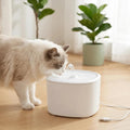 Pet Water Fountain 3L Filter Bundle, Quiet USB Powered Drinking Dispenser with 2 Replacement Filters and Detachable Design for Cats and Dogs