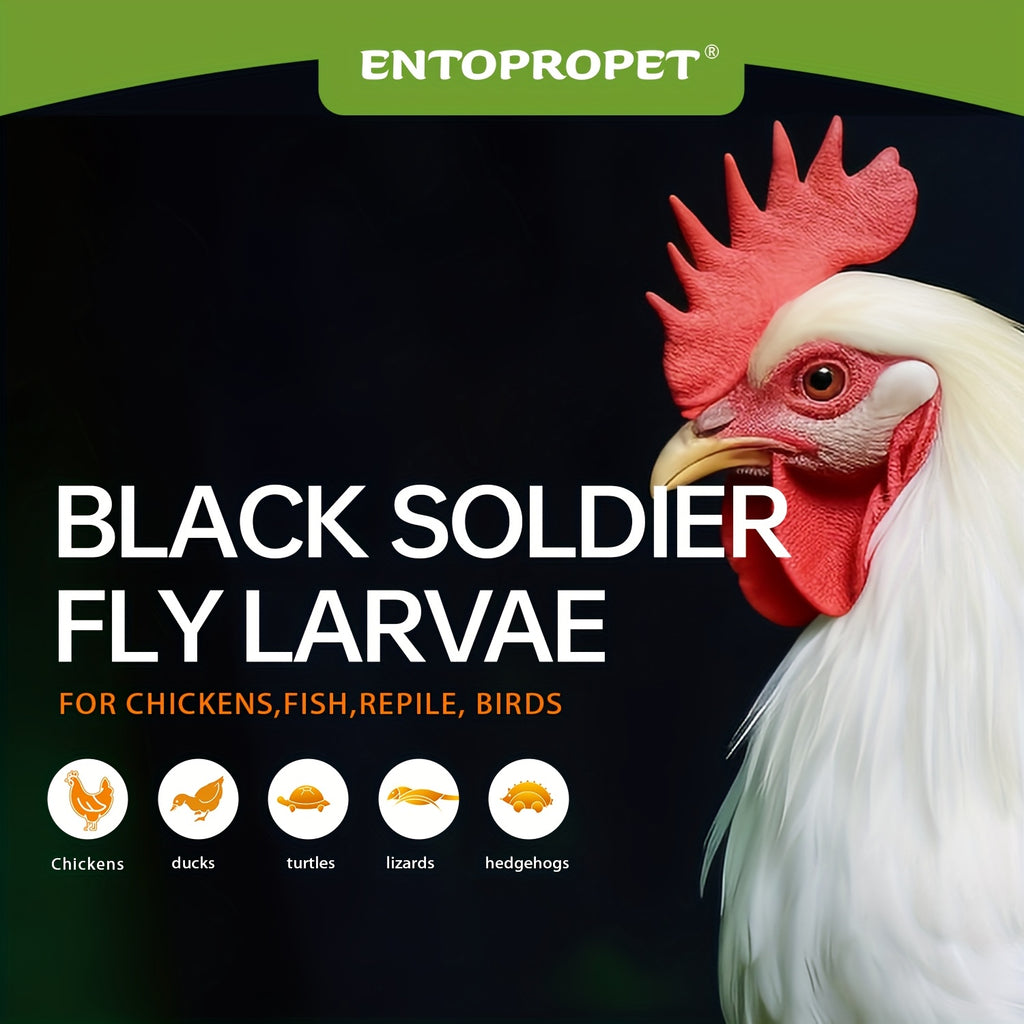 Black Soldier Fly Larvae Chicken Treats, Dried BSFL Grubs in 5 lb or 10 lb Packs for Backyard Chickens, Ducks and Bird Feeding Routines