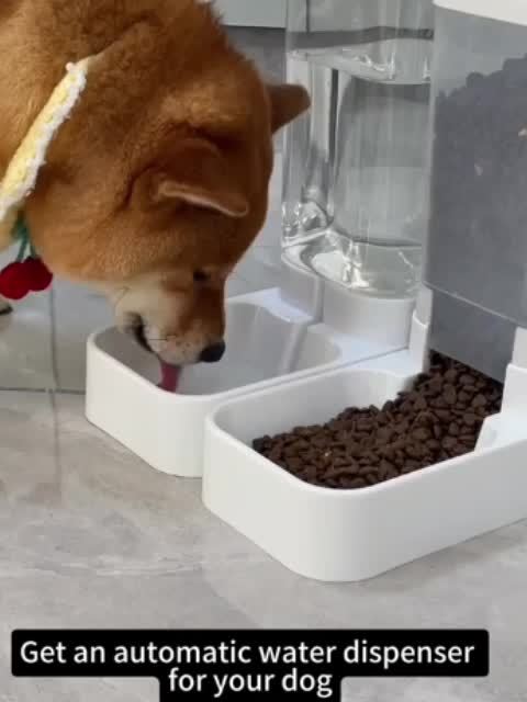 Cat Gravity Feeder and Water Dispenser Set in White, Battery-Free Pet Feeding Station with Non-Slip Base for Everyday Indoor Food and Water Access