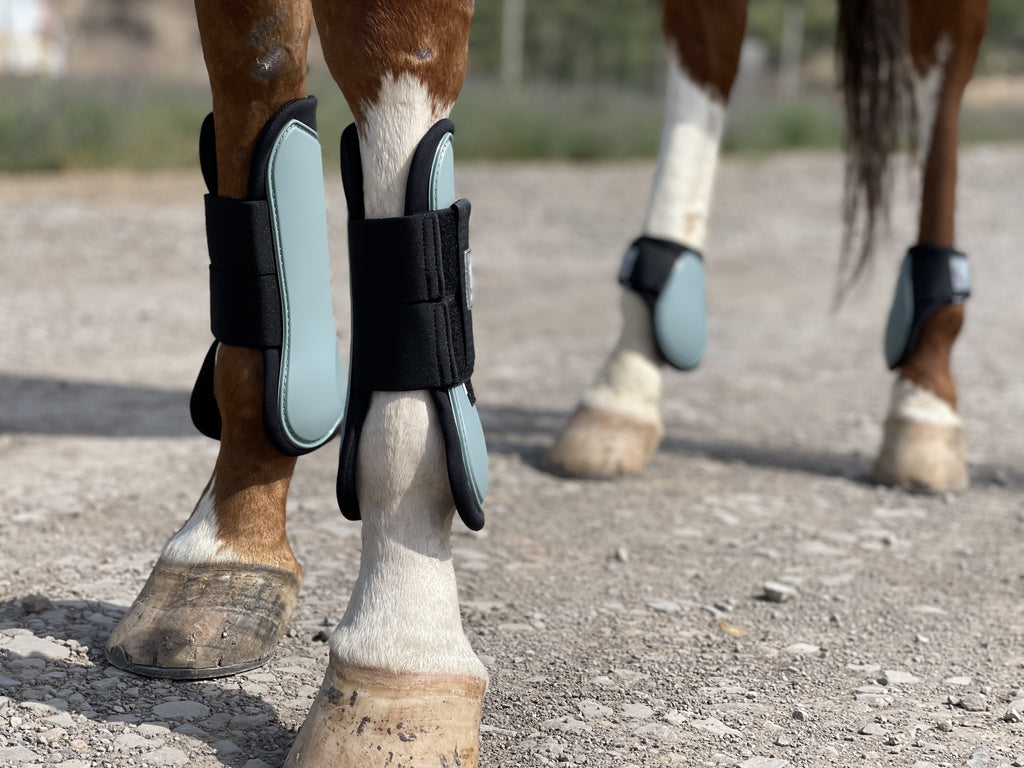 Horse Tendon Boots Set of 4, Open Front and Fetlock Leg Guards in PU and Neoprene for Riding, Jumping and Training, FULL and COB Size Options