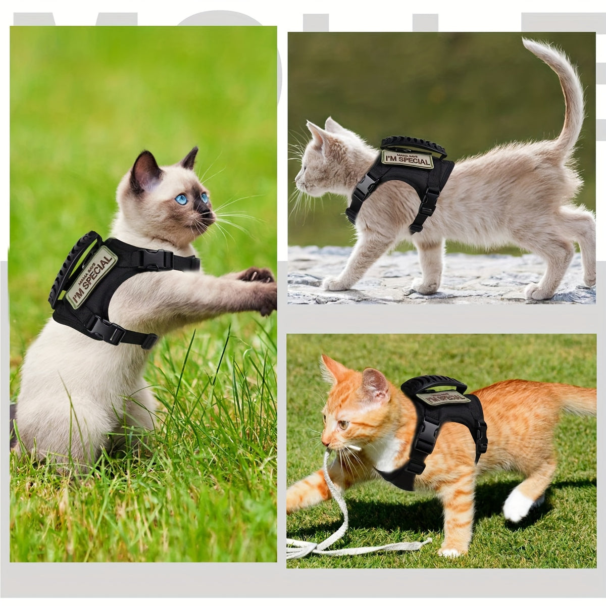 Cat Vest with Rubber Handle, Adjustable Tactical Nylon Pet Vest with Mesh Padding and Quick-Release Buckle for Large Cats and Small Dogs