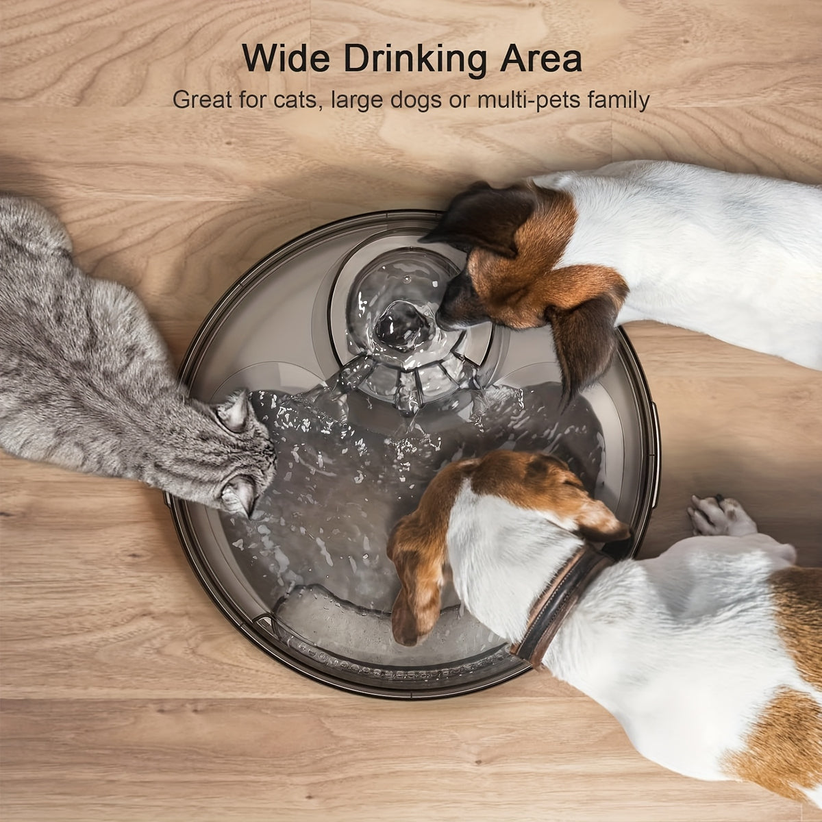 Dog Water Fountain with Splatter Guard, 5L or 8L Automatic Pet Drinking Dispenser for Multi-Pet Homes with Filter Bundle Options