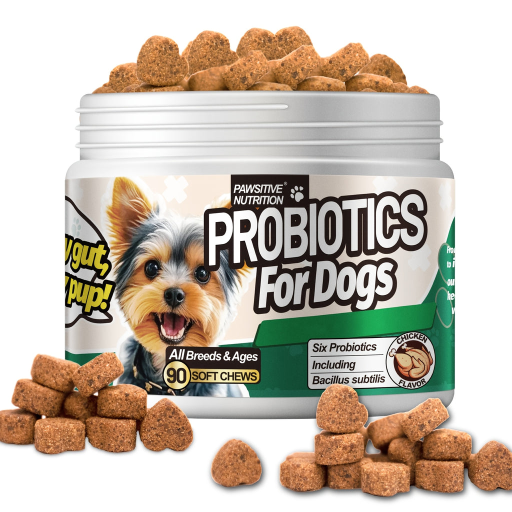 Dog Probiotic Soft Chews 90 Count, Chicken Flavor Six-Strain Formula with Prebiotics for Daily Digestive Support and Canine Gut Care