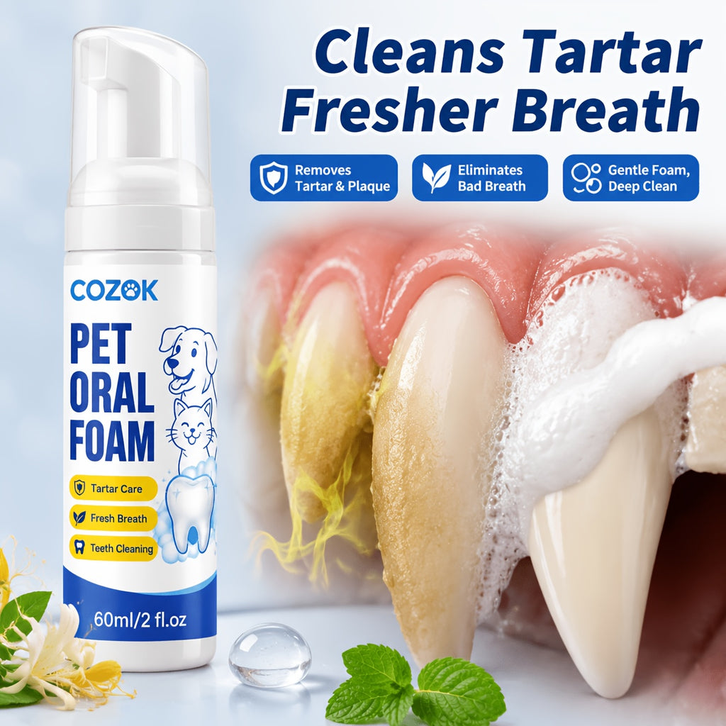 Pet Dental Foam for Dogs and Cats, Honeysuckle, Glycerin and Mint Oral Care Formula for Owner-Managed Teeth Cleaning and Fresh Breath Routines, 1 Piece