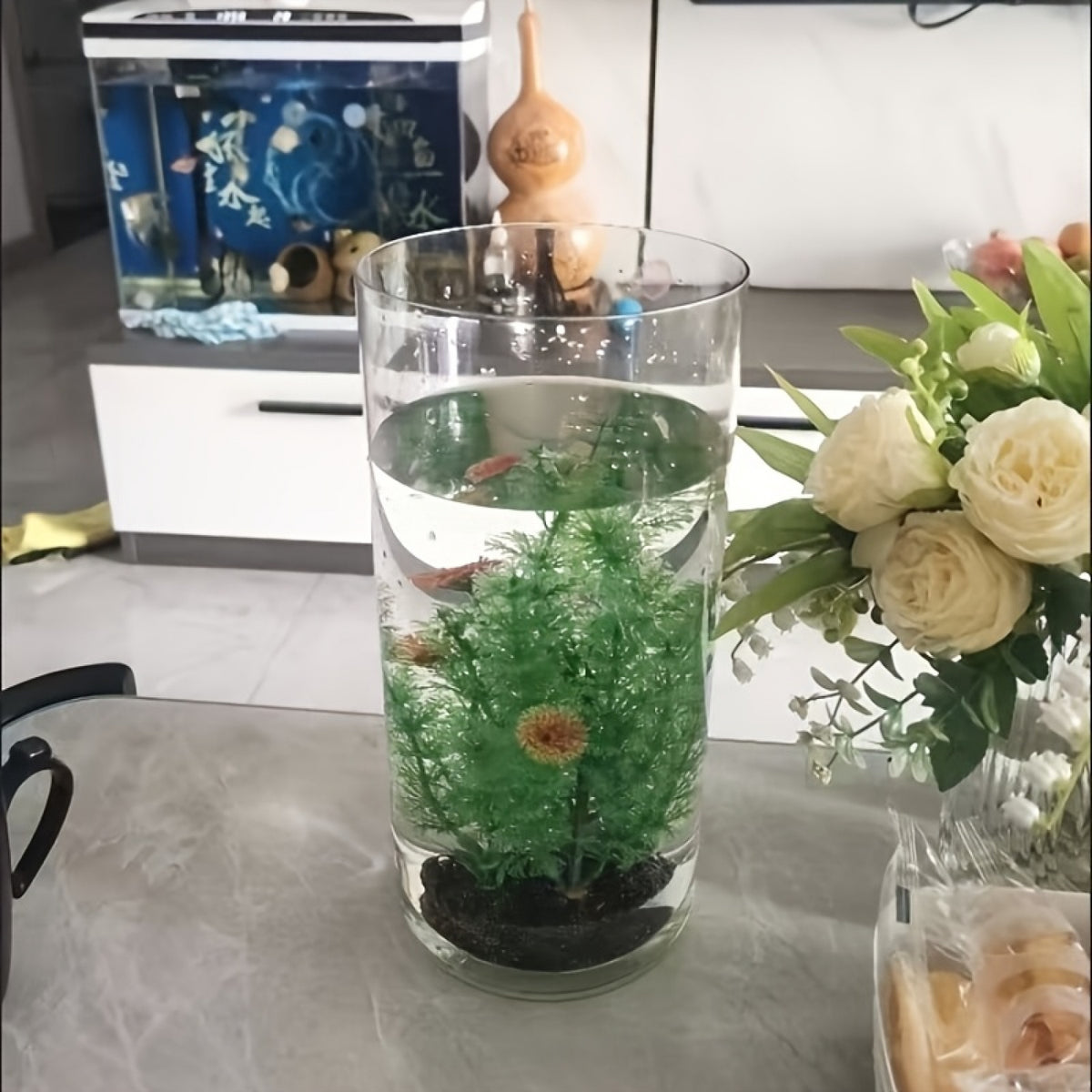 Acrylic Fish Tank with Round Cylindrical Design, 13.78 x 5.90 Inch Ornamental Aquarium Container for Home Aquatic Displays and Fishkeeping Setups