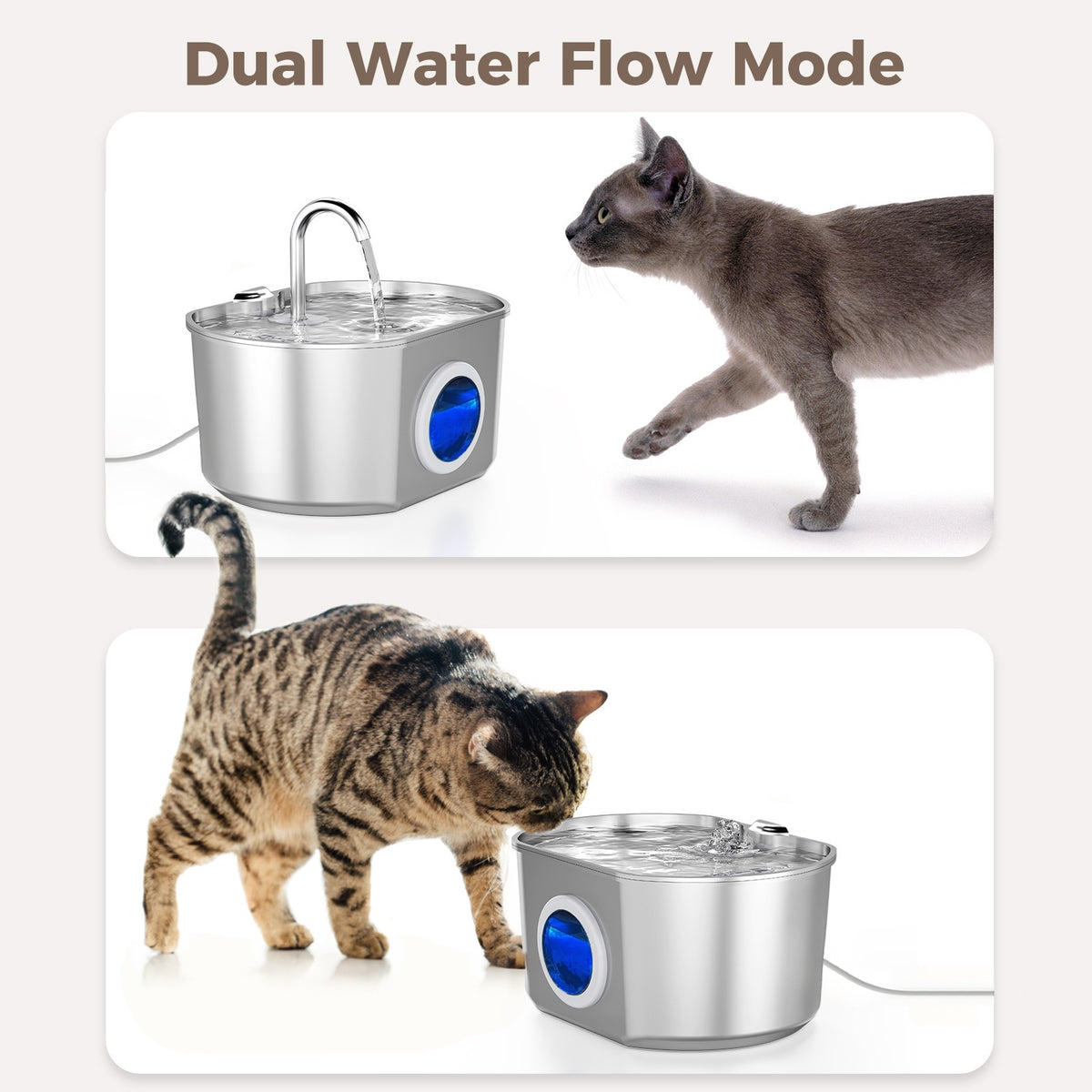 Cat Water Fountain 74oz 2.2L in 304 Stainless Steel, Quiet 5V Pet Drinking Dispenser with Water Level Window and Choice of 1 or 4 Filters