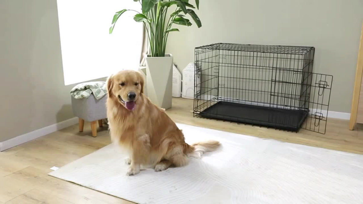 Foldable Dog Cage and Pet Enclosure with Tray, Black or White 4-Panel and 6-Panel Options Plus 36 Double-Door Style for Home and Travel Setup