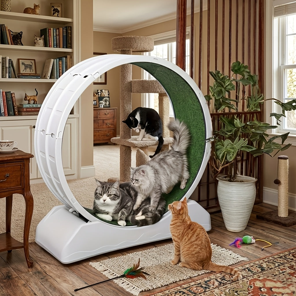 33 Inch Cat Exercise Wheel with Carpeted Runway, Plastic Indoor Cat Treadmill for Supervised Activity, Includes Whistle in Grey, Blue or Green