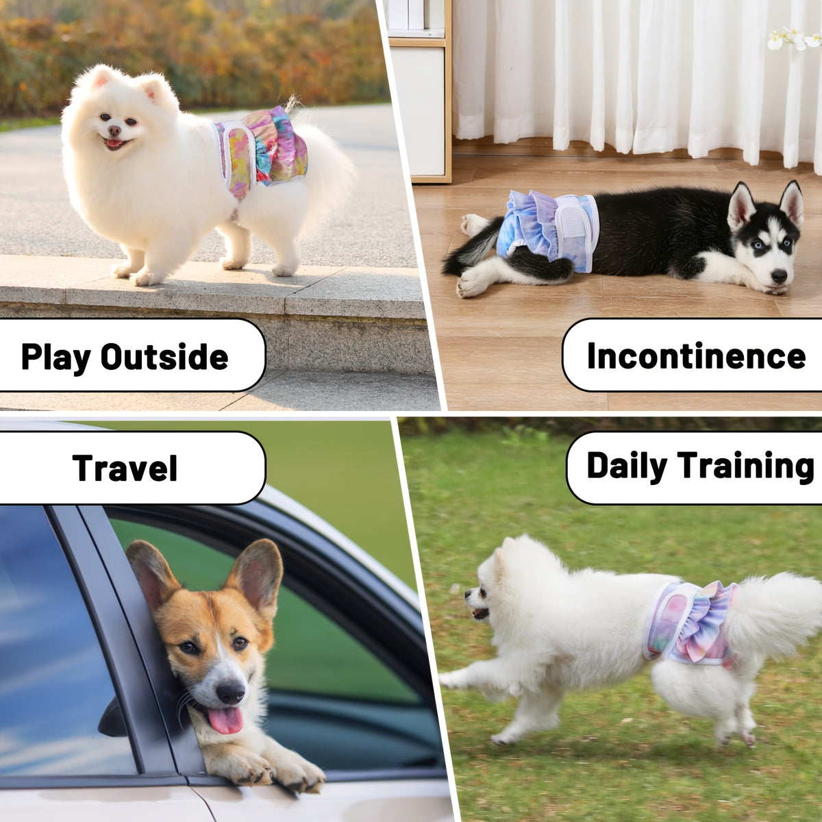 Female Dog Diaper Set 3 Pack, Washable Reusable Absorbent Sanitary Panties for Heat Cycles and Indoor Accidents, Two Pattern Sets in XS to L