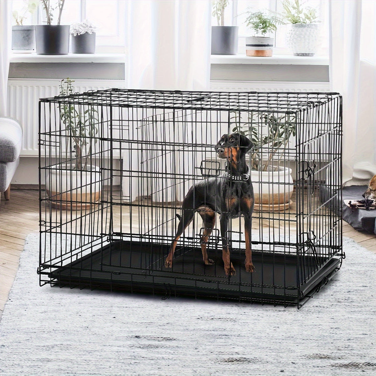 Dog Crate 42 or 48 Inch with Double Doors, Folding Metal Wire Kennel with Divider and Removable Leak-Proof Tray in Black, Blue or Pink for Home Training