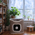 Cat Tree with Foldable Design for Indoor Cats, Cozy Top Bed and Hideaway, One to Three Level Cat Tower for Resting, Scratching and Play