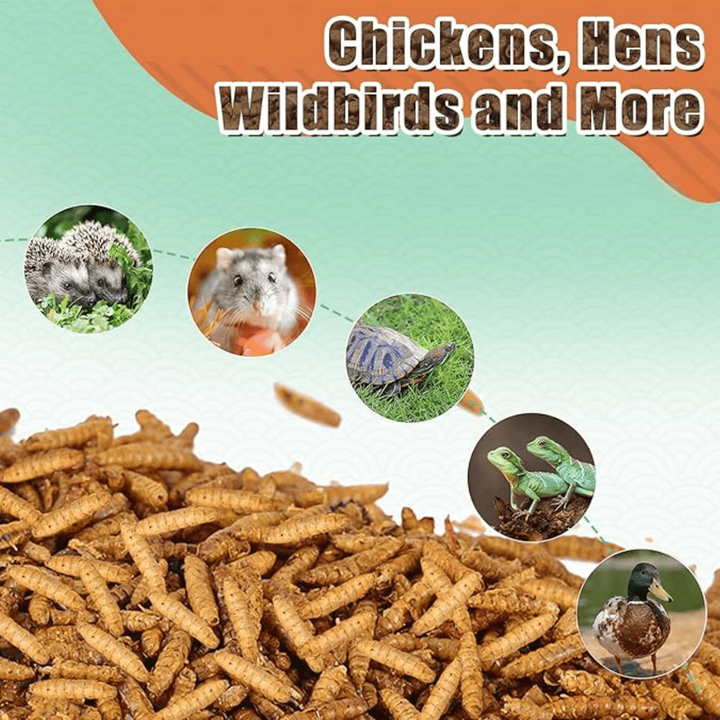 Bulk Chicken Grubs, Dried Black Soldier Fly Larvae Treats in 10, 20 or 40 lb Sizes for Backyard Chickens, Ducks and Quail Feeding Routines