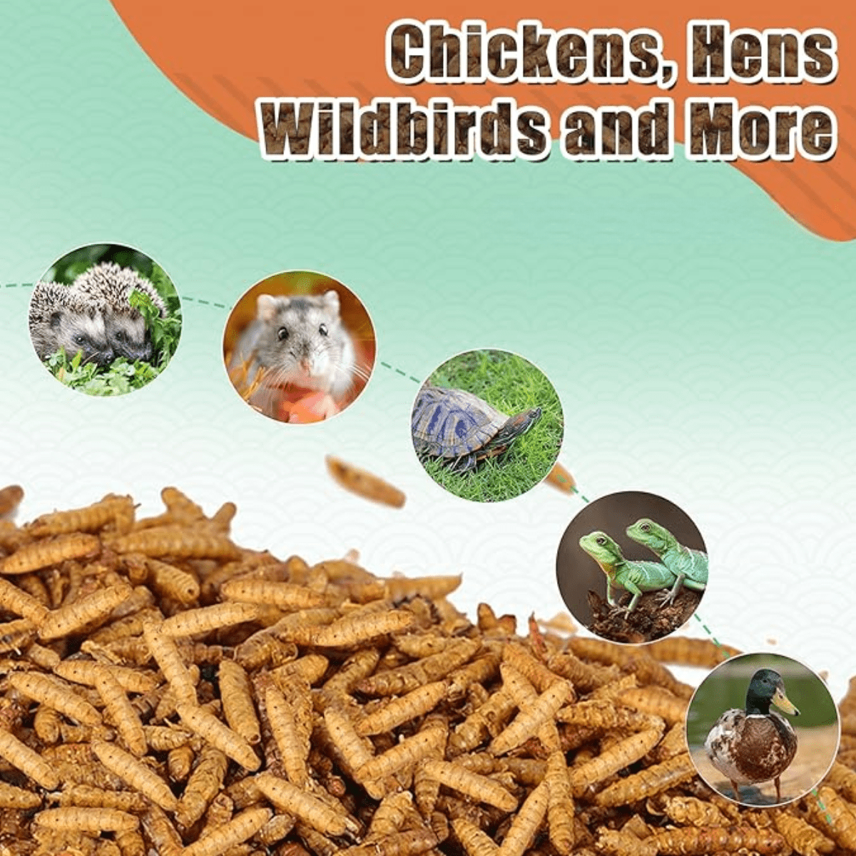 Bulk Chicken Grubs, Dried Black Soldier Fly Larvae Treats in 10, 20 or 40 lb Sizes for Backyard Chickens, Ducks and Quail Feeding Routines