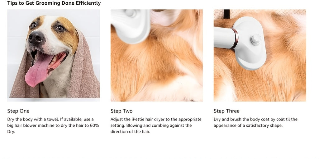 Dog Hair Dryer Brush 2-in-1 with One-Button Hair Removal, Corded Pet Grooming Slicker with 3 Heat Settings for Dogs and Cats, Gold Trim