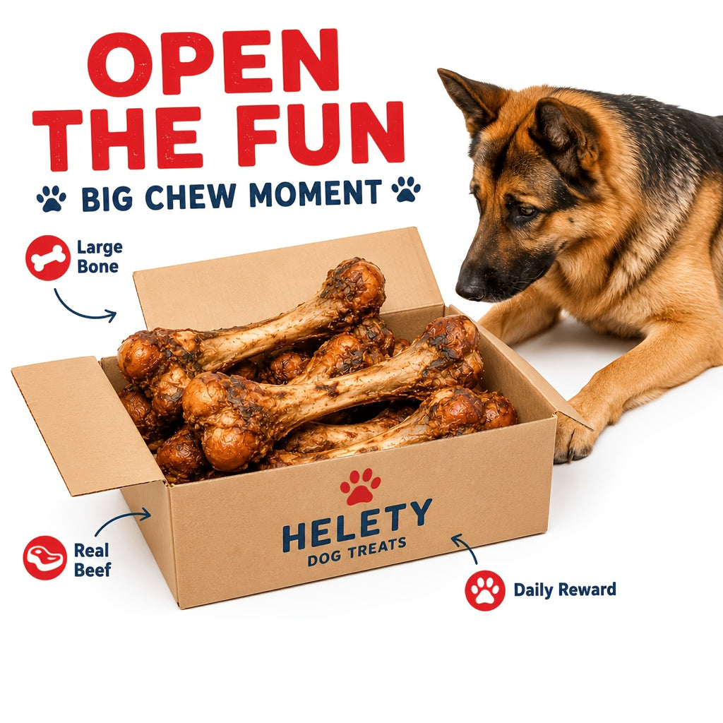 Beef Bone Dog Chews with S, L and Gift Package Options, Bone Treat Selection for Supervised Chewing Sessions and At-Home Dog Reward Routines