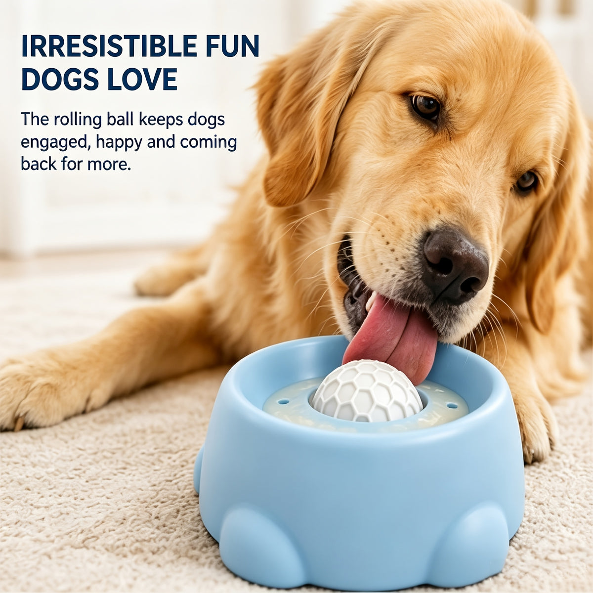 Cat Feeding Station with Food and Water Dispenser Options, Colorful Pet Feeder or Rolling Ball Slow Feeder Bowl for Everyday Indoor Meals