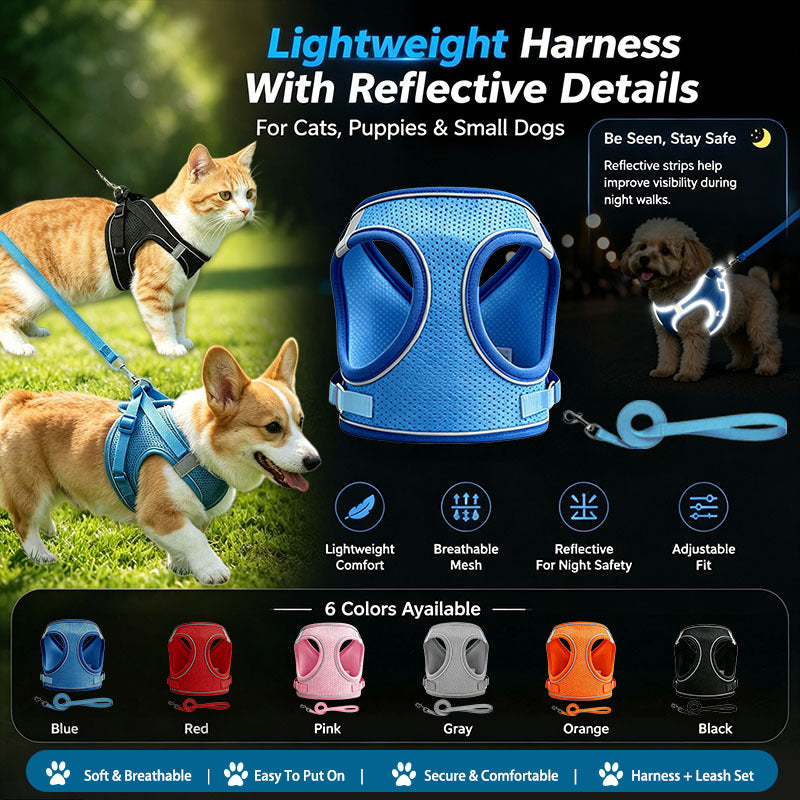 Small Dog Harness and Leash Set, Lightweight Breathable Mesh Vest with Reflective Trim for Cats and Puppies, XS S L XL Walking Gear