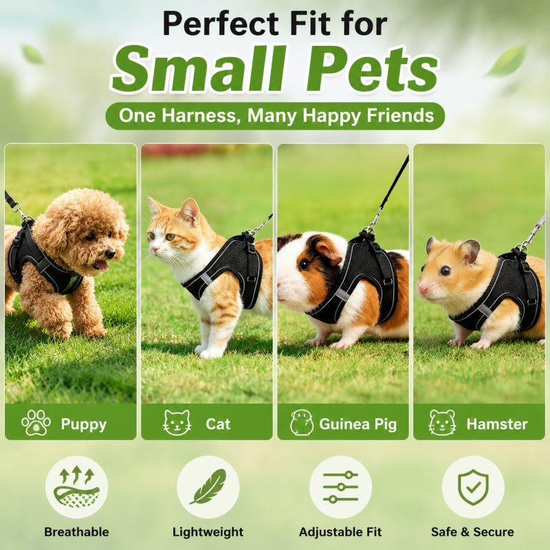 Small Dog Harness and Leash Set, Lightweight Breathable Mesh Vest with Reflective Trim for Cats and Puppies, XS S L XL Walking Gear