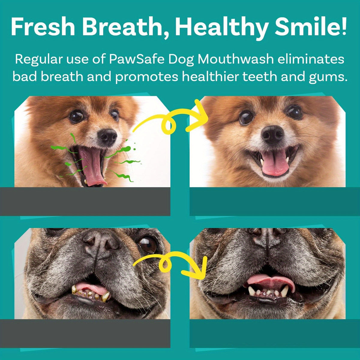 Dog Mouthwash with Peppermint Extract, 100ml 3.38 fl oz Oral Care Liquid for Fresh Breath and Label-Directed At-Home Canine Care Routines