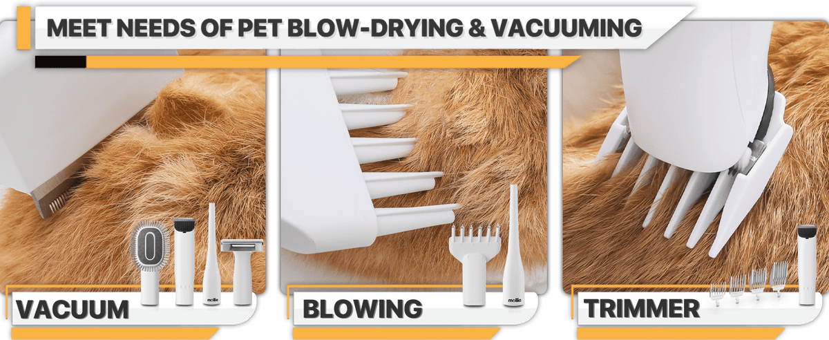 Dog Grooming Vacuum and Dryer Kit with 6 Grooming Tools, Trimmer and Guide Combs for At-Home Dog and Cat Coat Care, MoNiBloom