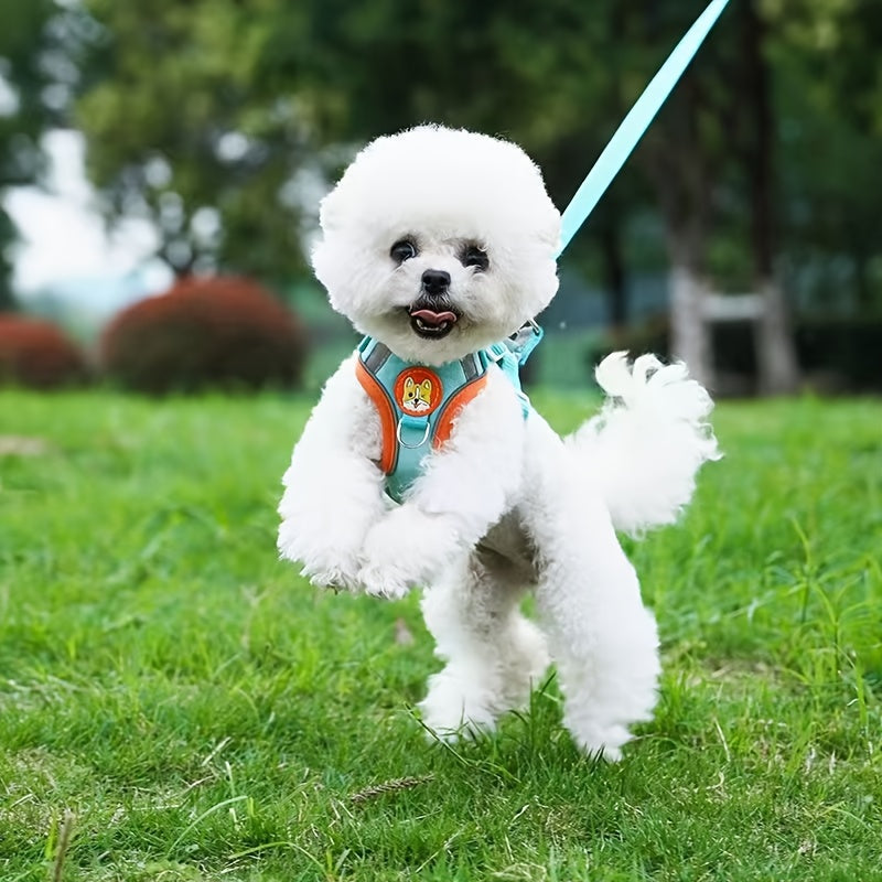 Adjustable Reflective Dog Harness and Leash Set with 4 Bells, Breathable Walking Vest for Small and Medium Dogs in Blue, Red or Brown
