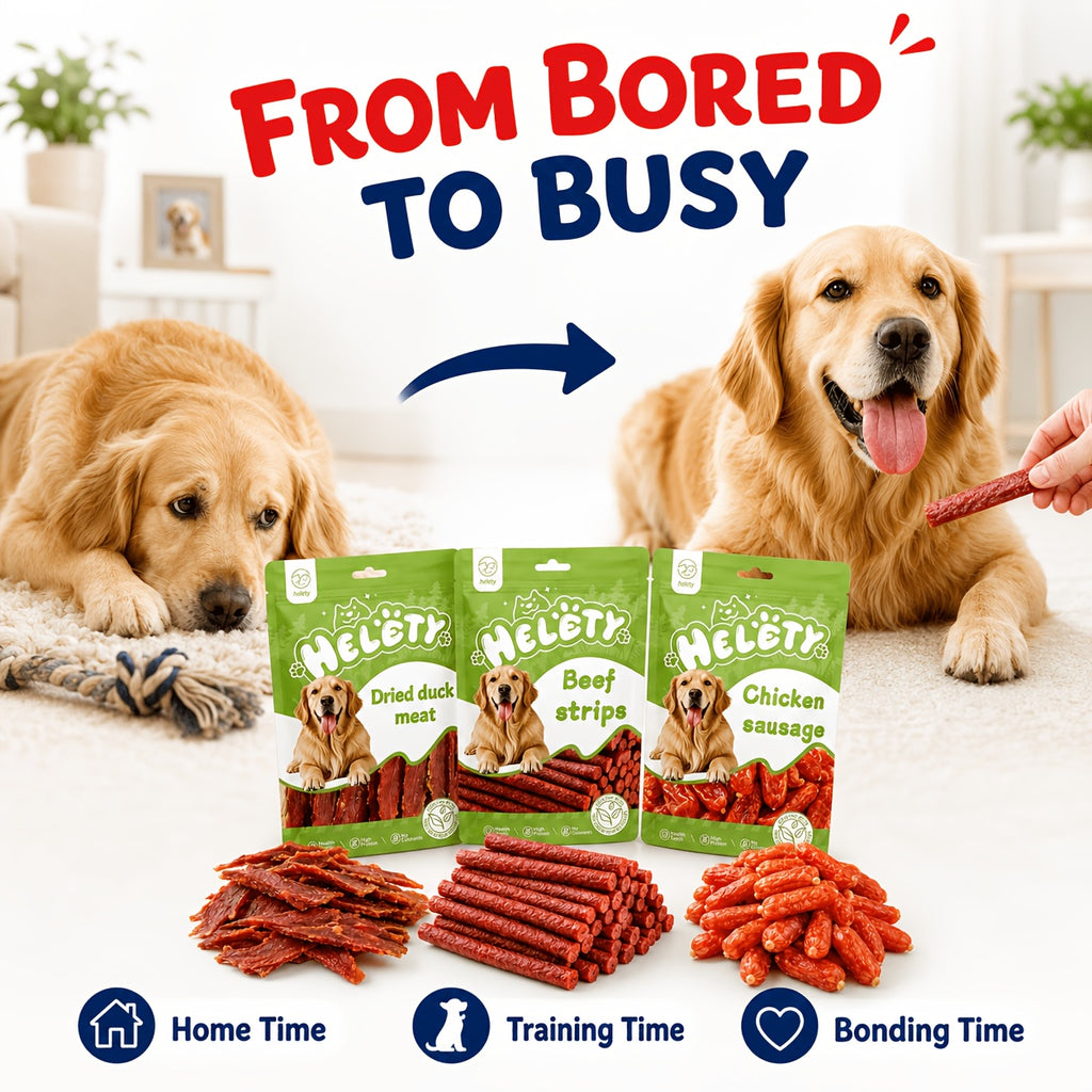 Dog Training Reward Treats in Duck 100g Pack, Chewy Dog Snacks for Supervised Practice Sessions, Everyday Treat Time and Dog Lover Gift Baskets