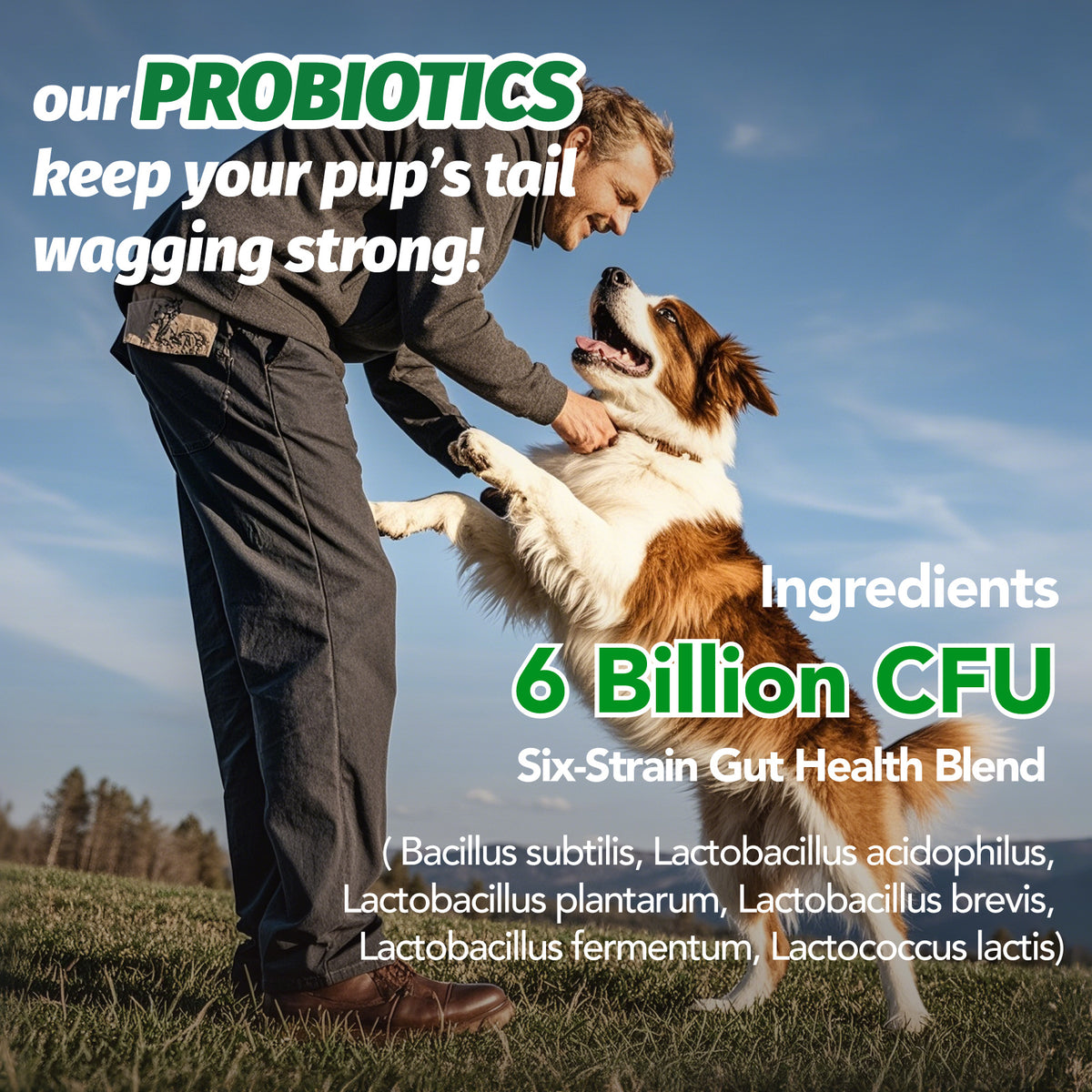 Pet Supplement Kit with 2 fl oz Health Drops and 90 Probiotic Chews, Two-Part Dog and Cat Supplement Bundle for Owner-Managed Wellness Routines