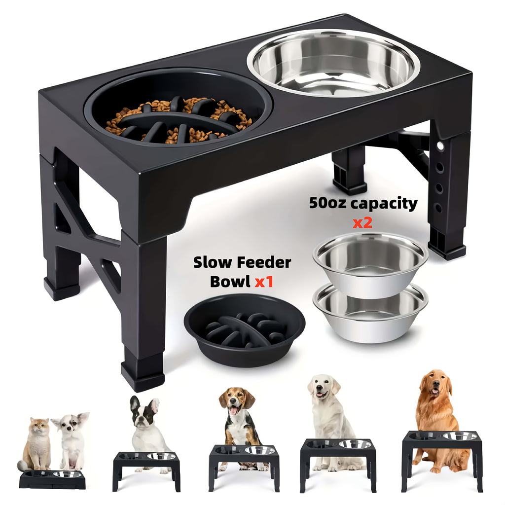 5-Height Dog Bowl Set with Foldable Adjustable Stand, Slow Feeder and Stainless Steel Bowl for Medium and Large Dogs, Black or Pink