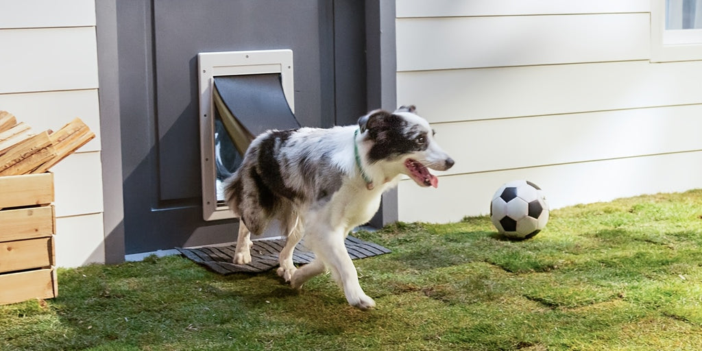 3-Flap Dog Door with Insulation Layer and Two Magnetic Flaps, Reinforced Polymer Pet Entry with Closing Panel in Medium or Large, Black or White