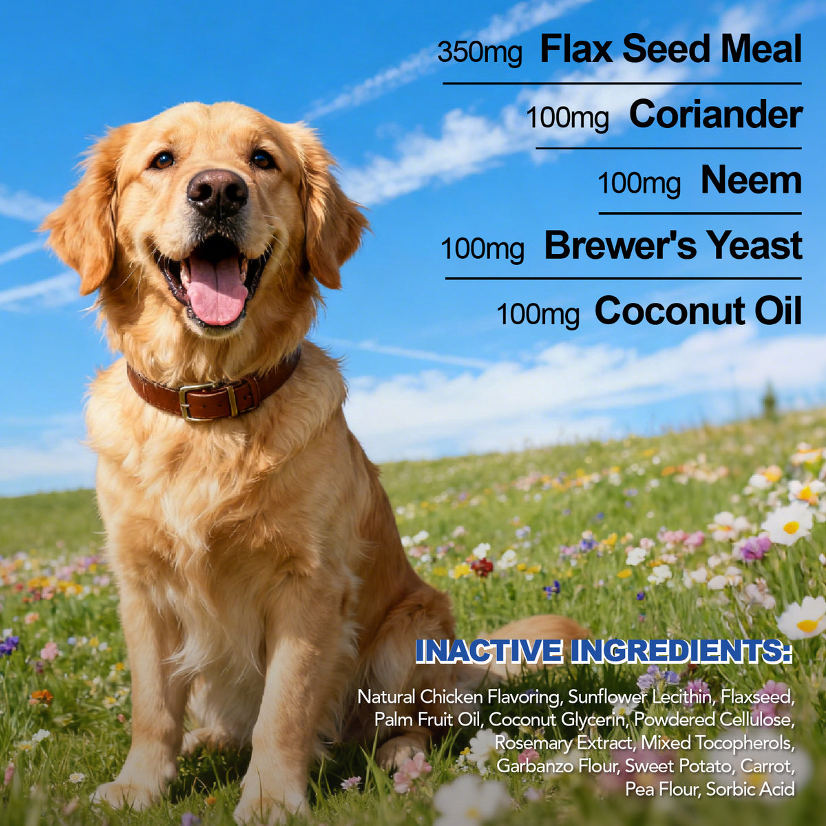 Dog Supplement Chews 4-Pack, 360 Chicken Flavor Soft Chews with Coconut Oil, Brewer's Yeast, Omega-3 and Vitamins for Canine Care Routines